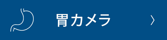 胃カメラ